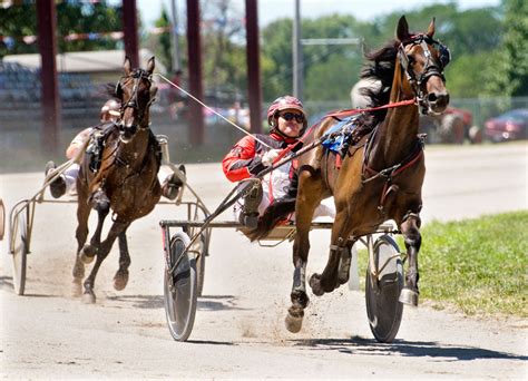 harness racing results|Race Results .
